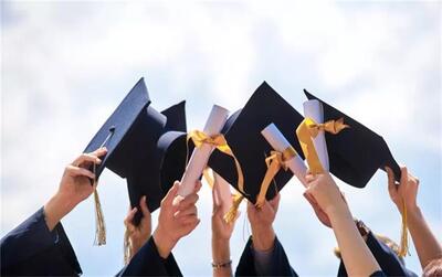 مرجعیت سیاسی، فرهنگی و اجتماعی دانشگاه‌