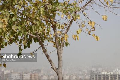 افزایش چشمگیر آلودگی هوا در مشهد | پاییز امسال، نفس مشهد تنگ‌تر می‌شود