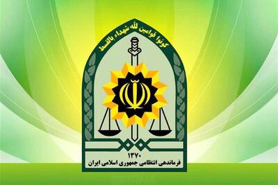 توضیح پلیس درباره بازداشت یکی از بازیگران معروف | سیاست روز
