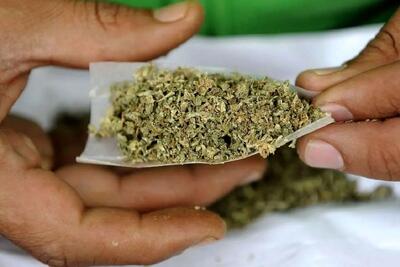  ۲ کیلوگرم مخدر گل و کیمیکال با گزارش مردمی در لردگان کشف شد