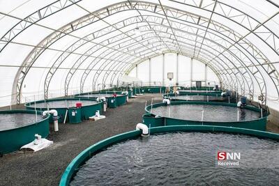  پایداری ذخایر ژنتیکی و اکوسیستم‌های دریایی با کمک هوش مصنوعی تضمین می شود