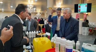  همایش آموزشی‌ ترویجی سبد کودی در اراک، فرصتی برای تحول در نظام تغذیه گیاهی