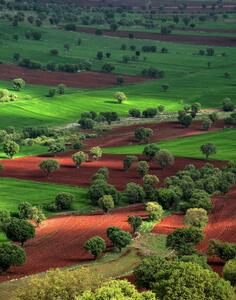عکس: نمای هوایی از طبیعت بسیار زیبای لرستان