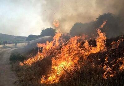  آخرین وضعیت آتش‌سوزی در بخش عراقی تالاب هورالعظیم