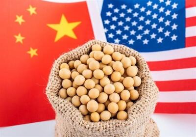 جبهه جدید جنگ تجاری آمریکا و چین بر سر سویا - تسنیم