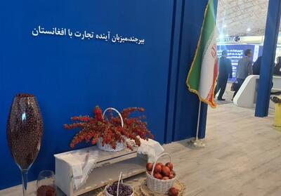 سرمایه‌گذاری در شرق ایران/افغانستان در بیرجند دست دوستی دراز کرد - تسنیم