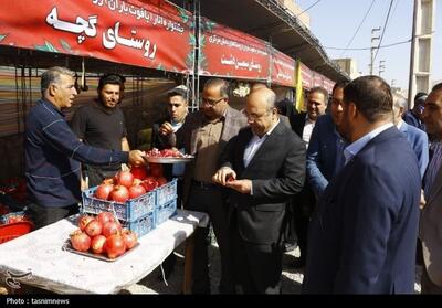 جشنواره یاقوت باران در فیروزکوه برگزار شد - تسنیم