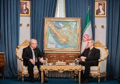 دیدار نماینده پوتین با علی لاریجانی - تسنیم