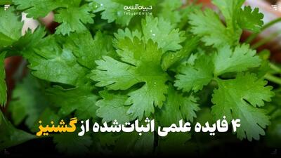  ۴ فایده علمی اثبات‌شده از گشنیز