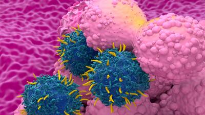  هشدار یک مطالعه در مورد خطرات مصرف مستمر گوشت فرآوری‌شده برای زنان