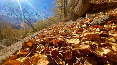  گشت و گذاری در روستای گردشگری نشل به وقت پاییز + عکس