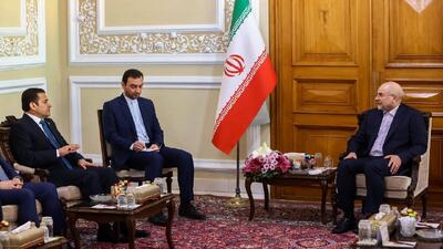 دیدار رئیس مجلس و مشاور امنیت ملی عراق