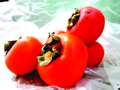  میوه پاییزی برای سلامتی و زیبایی