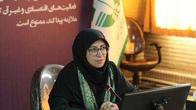 انصاری: نگاه نقادانه مسیر درست حفظ محیط‌زیست را نشان می‌دهد
