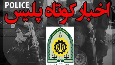  توقیف ۴۶۶ دستگاه وسایط نقلیه متخلف در فارس/ ناکامی قاچاقچی در انتقال ۸۰ کیلو حشیش