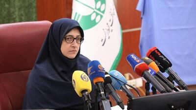 برخی دستگاه‌ها در تلاش برای حفظ نقش سازمان محیط زیست در امور هستند