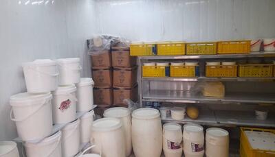  کشف یک تن لبنیات غیر بهداشتی در غرب اهواز