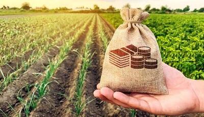  پرداخت وام ۵۰۰ میلیون ریالی به بیمه شدگان روستایی