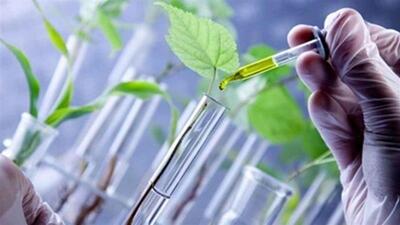  رییس انجمن بیوتکنولوژی: سند ملی زیست فناوری تدوین شد