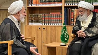  دیدار رئیس دفتر رهبر انقلاب در قم با آیت الله کریمی جهرمی