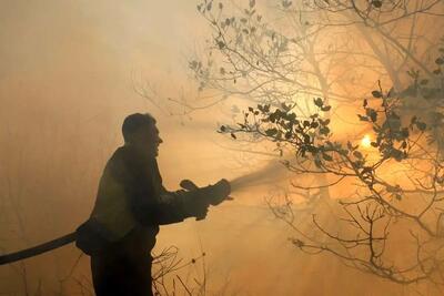  رابطه خشک شدن دریاچه ارومیه با آتش‌سوزی‌های پارک ملی/ واقعیت یا گمانه؟