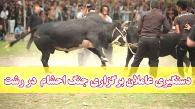  برخورد با عاملان برگزاری جنگ احشام در بخش سنگر