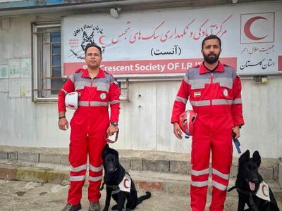  دو توله سگ ژرمن به هلال احمر گلستان پیوستند