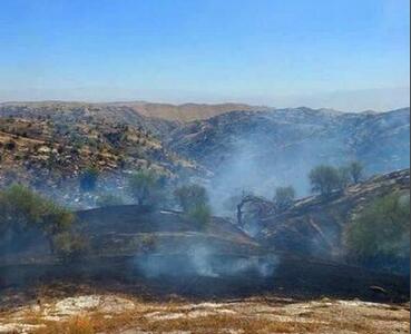  مهار آتش‌سوزی گسترده در منطقه سخت‌گذر «سپیدبرگ» جوانرود