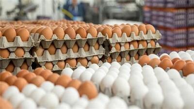 پلمپ سردخانه‌ای در رامیان به جرم احتکار ۸۰۰ تن تخم مرغ