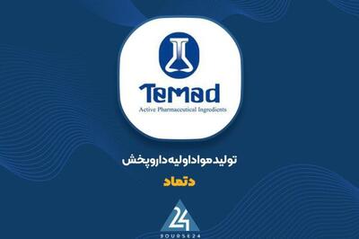 «دتماد» با 23 درصد رشد درآمد پرونده نیمه نخست را بست