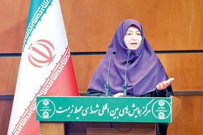  انصاری: نقد فعالان محیط زیست به پویایی سازمان کمک می‌کند