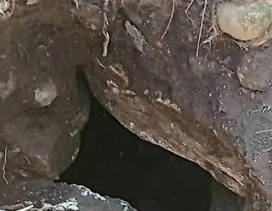  کشف گورستان باستانی برای اولین بار در جلگه گیلان