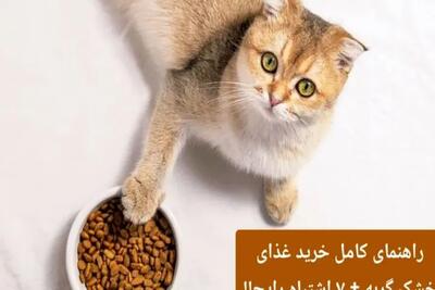  راهنمای کامل خرید غذای خشک گربه + 7 اشتباه رایج در خرید غذا