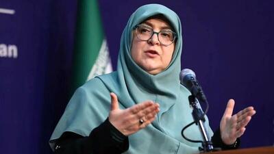  فیلم / سخنگوی دولت: تذکر عارف به وزرا برای پاسخگویی به خبرنگاران