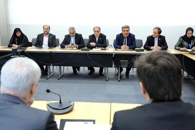 حاجی‌بابایی: آماده همکاری با برزیل هستیم
