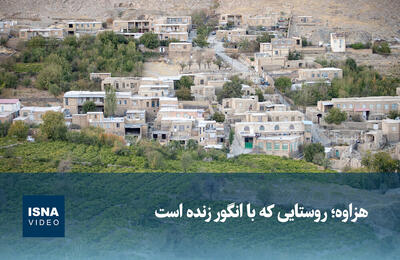 ویدیو/ هزاوه؛ روستایی که با انگور زنده است