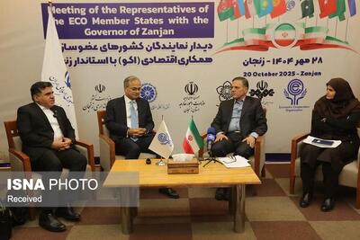  استان زنجان ظرفیت‌های زیادی در حوزه‌های تجاری و اقتصادی دارد