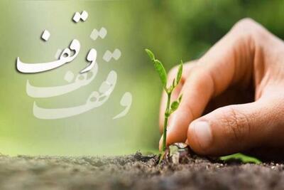  پویش وقف درخت در رفسنجان آغاز شد