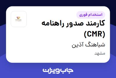  استخدام کارمند صدور راهنامه (CMR) در شباهنگ آذین