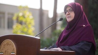 مهاجرانی: عراقچی درمورد قطعنامه ۲۲۳۱ به دولت گزارش داد