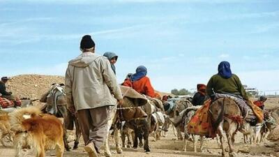  عشایر کوچ‌رو ستون پنهان امنیت غذایی در استان یزد