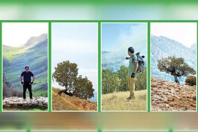  بقای زاگرس در گرو درختان بلوط