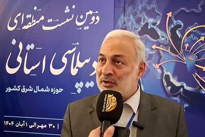توضیحات معاون کنسولی وزیر خارجه درباره برنامه‌های دومین نشست منطقه‌ای دیپلماسی استانی + فیلم