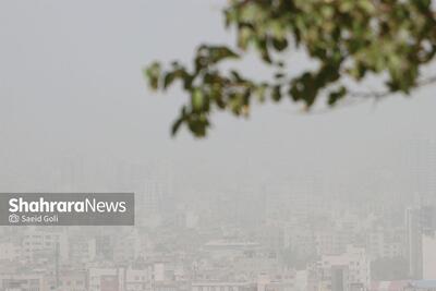 انتقاد رئیس کمیسیون اصل ۹۰ مجلس از دولت | تهران‌نشینان، آلودگی هوای مشهد را به فراموشی سپرده‌اند
