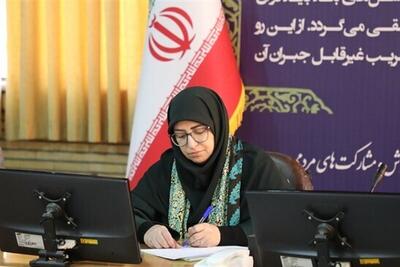 انصاری: نقد‌های فعالان محیط زیست برای ما ارزشمند است