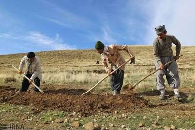  عزم مشترک مرتع‌داران و منابع طبیعی گچساران برای احیای پوشش گیاهی