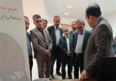 ایستگاه اصلاح‌نژاد قوچ سنگسری در مهدی‌شهر راه‌اندازی می‌شود - تسنیم