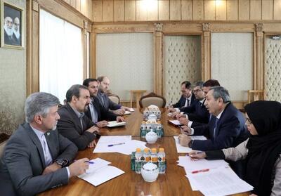 سنایی: ایران و آذربایجان برای پیگیری توافقات برنامه‌ی اقدام تعریف کنند - تسنیم