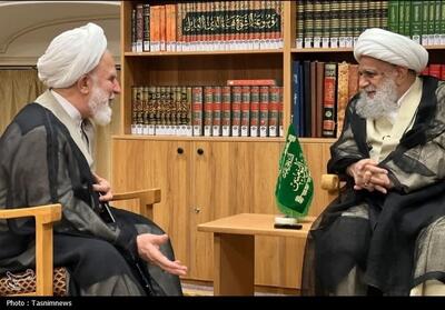 دیدار رئیس دفتر رهبر معظم انقلاب در قم با آیت‌الله کریمی جهرمی - تسنیم