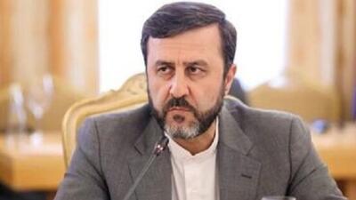تبادل نظر غریب‌آبادی با سفرای ۹ کشور پیرامون اقدامات یکجانبه قهری